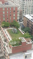 Rented by The Monterey