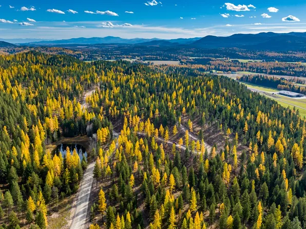 1143 Whitefish Ridge Rd, Whitefish, MT 59937