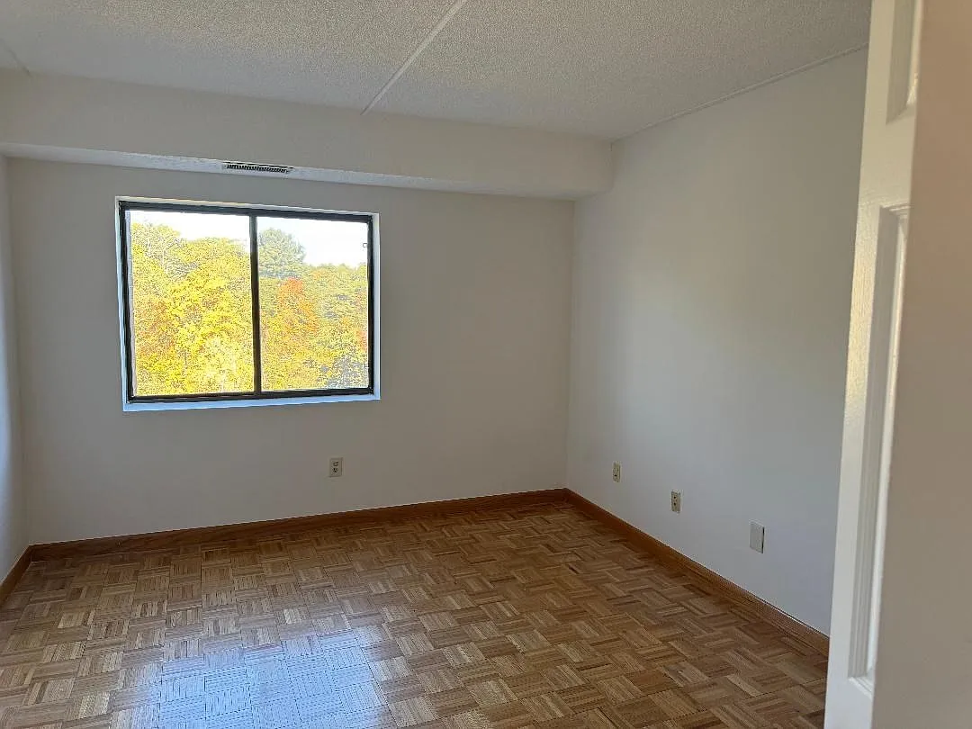 3 bed, 1461 sqft, $3,500 — Photo 4