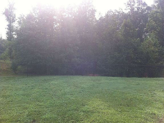 Huge, fenced-in backyard overlooking 50 acres of forest.