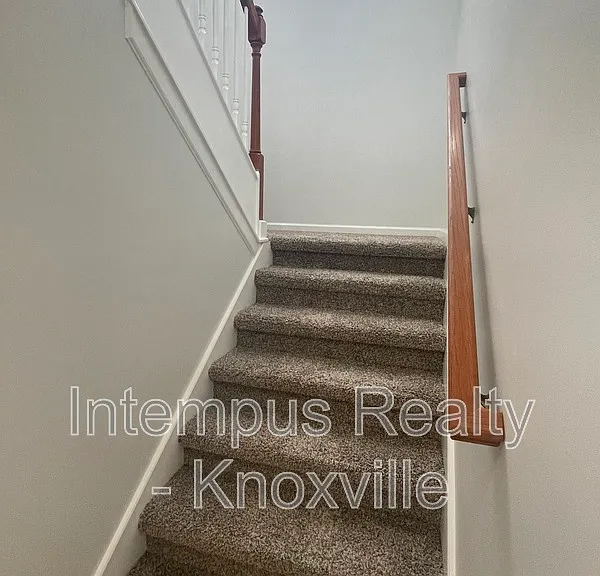 3119 Pinex Ln — Photo 17