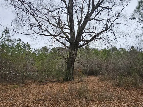 0 County Road 724, Jemison, AL 35085