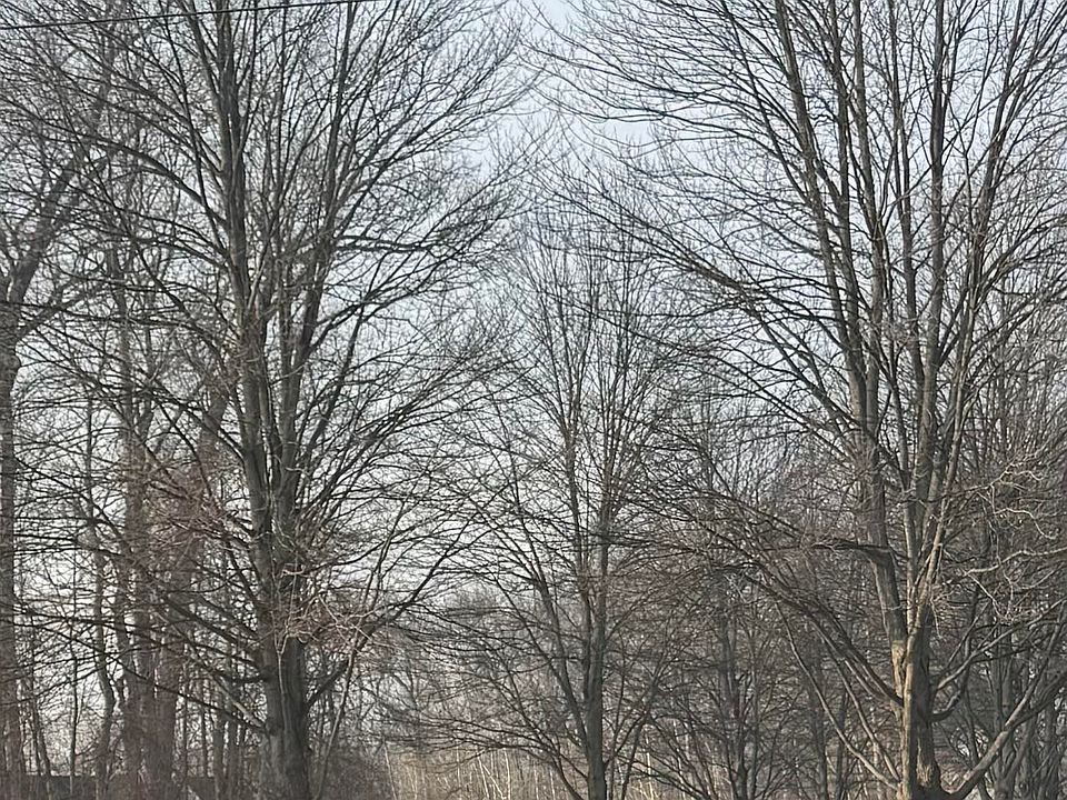 2nd image of 3521 Southpoint Rd