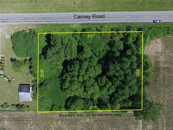 S Carney Rd, Newstead, NY 14001