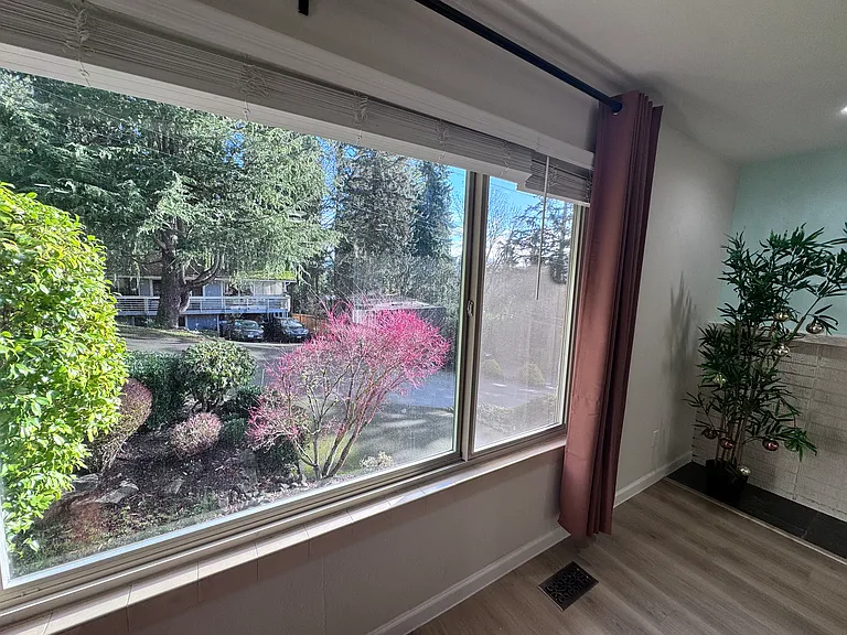 view from Living room