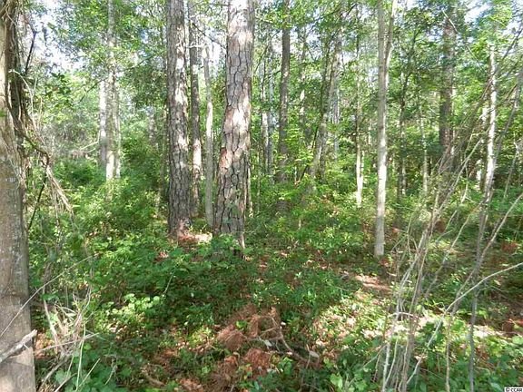 4th image of Lot 44 Cove Dr.