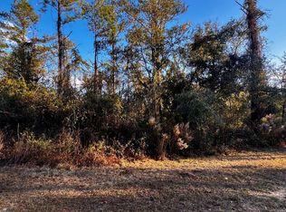 LOT 38 NW 30th Pl, Jennings, FL 32053