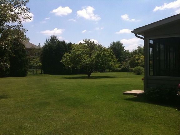 Rear view of yard, 1.3 acres