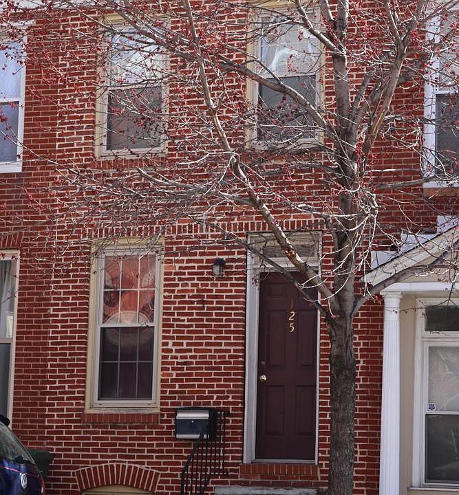 Historic Brick Facade, Ne Windows