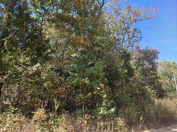 2nd image of L-1-B Northwood Dr