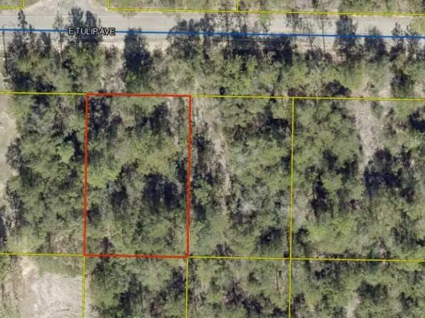 0 E Tulip Ave, Defuniak Springs, FL 32433