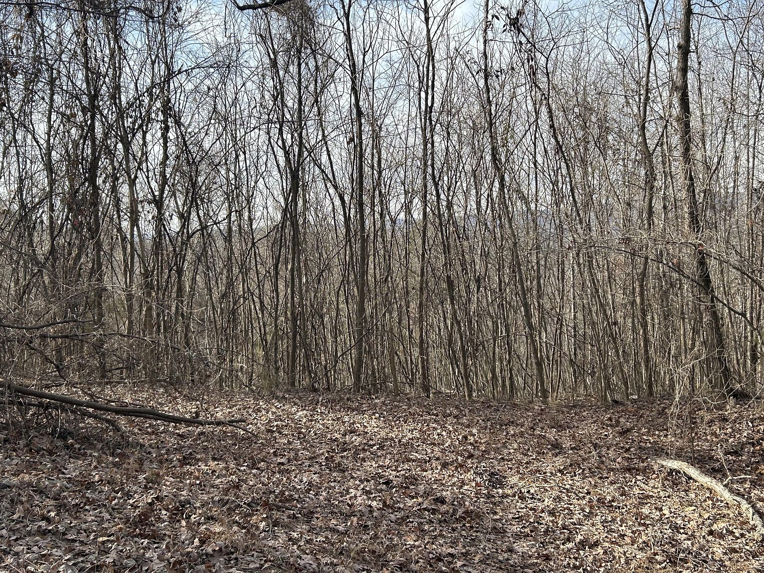 1094 Rhea County Hwy LOT 9, Dayton, TN 37321 Zillow