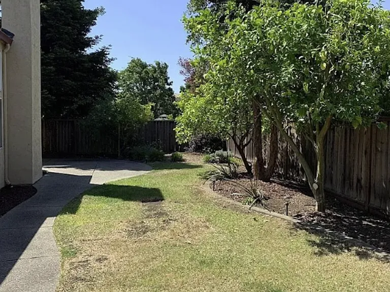 649 Daffodil Dr #10061 — Photo 21
