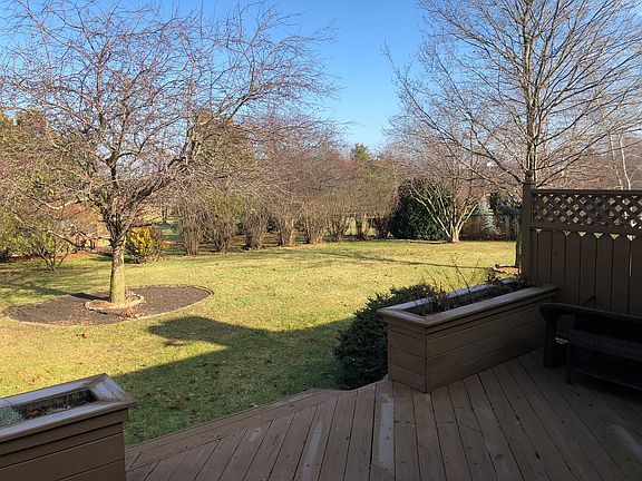 View from the back deck