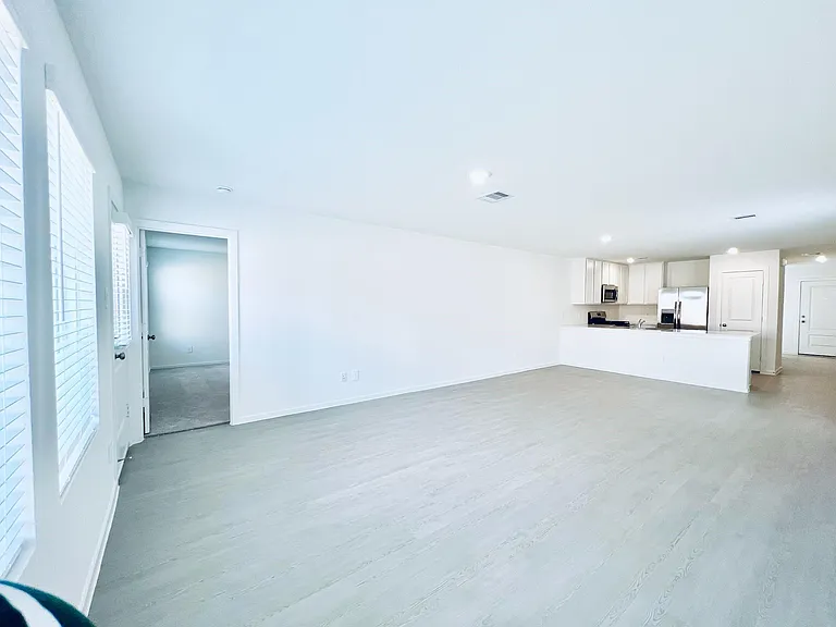 1367 Diamond Carnation Dr — Photo 2