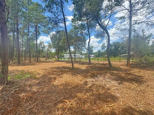 Pine St Lot 7, Paisley, FL 32767
