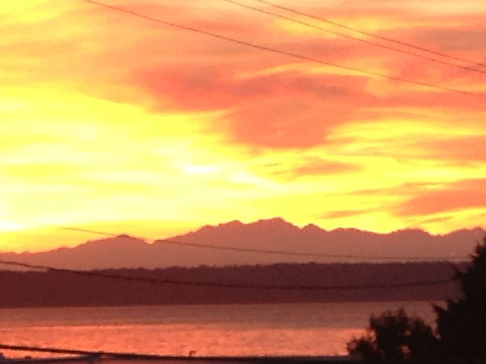 View from the deck