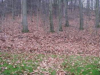 5th image of 386 Central Dr