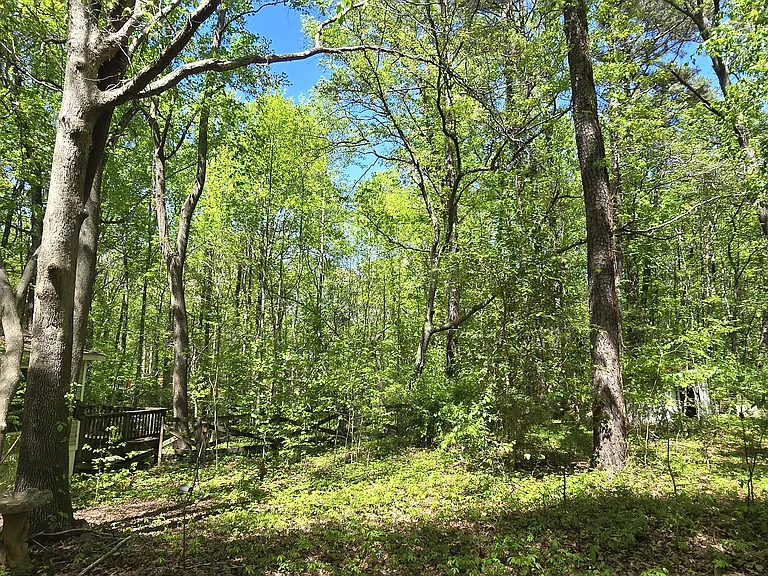 Side yard