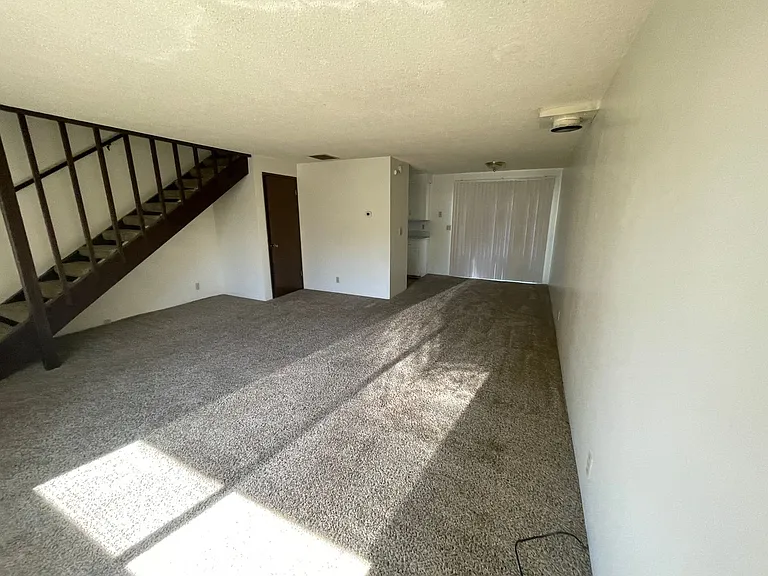 Bailey — Photo 19