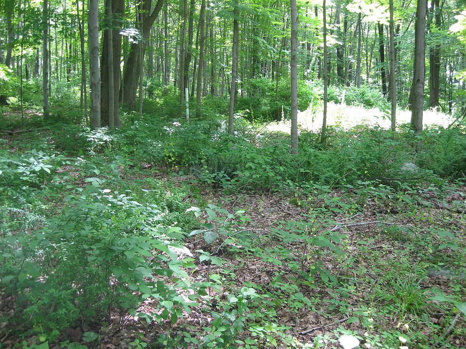1st image of Juniper Dr