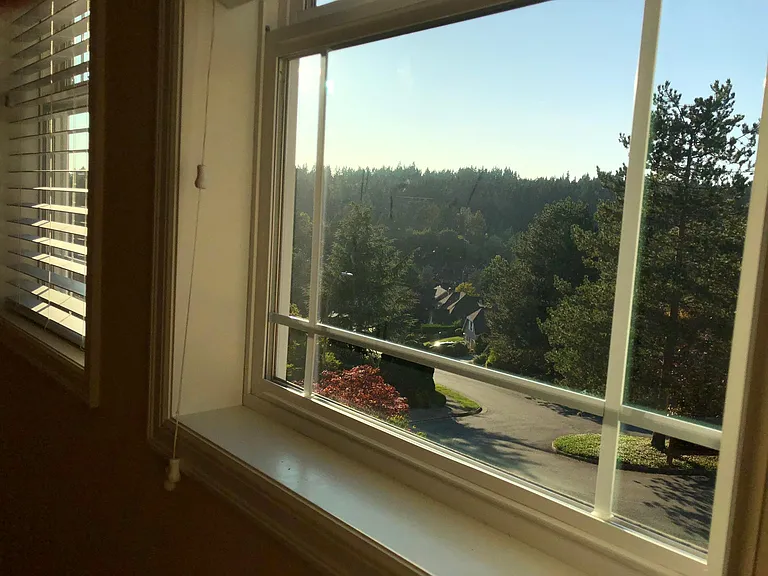 Beautiful green views from the room
