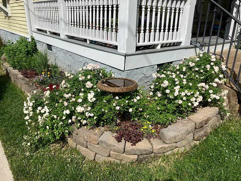 Flower Garden