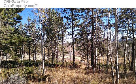 1st image of 48 Sarsi Ct