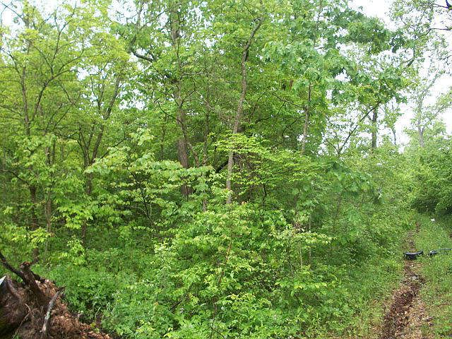 2nd image of Tbd Farm Rd #2295
