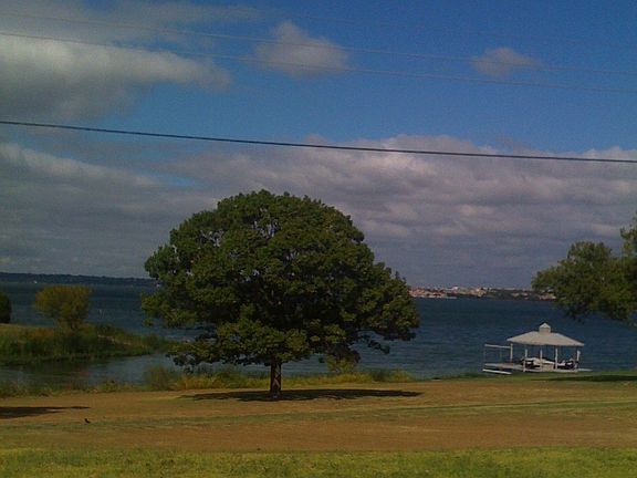 East facing backyard