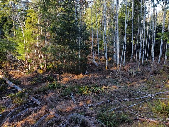 5th image of 579 Thomas Street