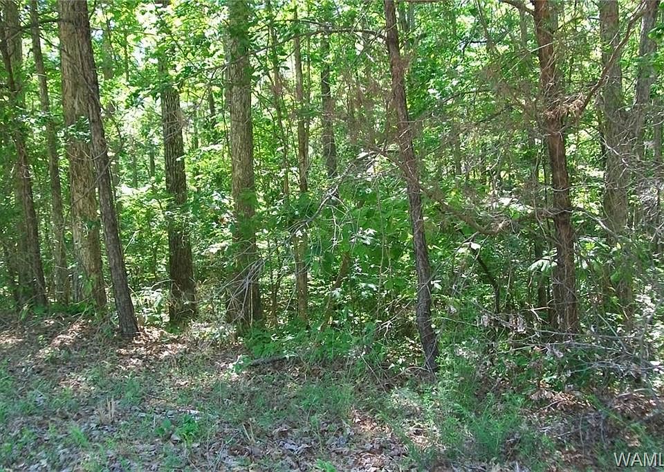 2nd image of Preston Woods Lot 7