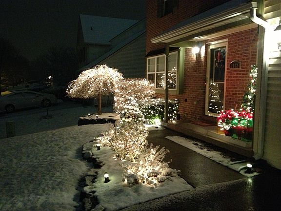 Winter Front Scape...