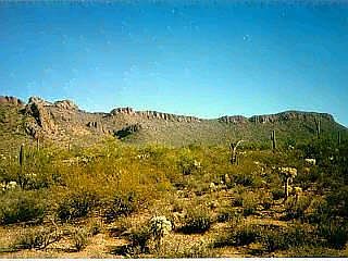 1st image of 7110 N Desert View Dr