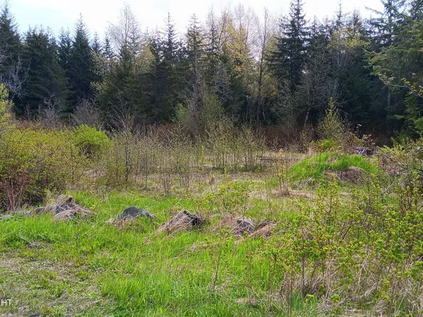 0 N Sawmill Rd, Haines, AK 99827
