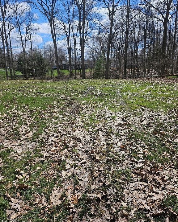 1st image of 196 Ashtabula Point