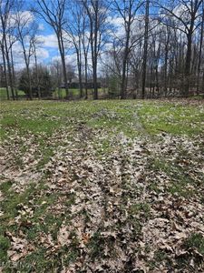 196 Ashtabula Point, Rock Creek, OH, 44084