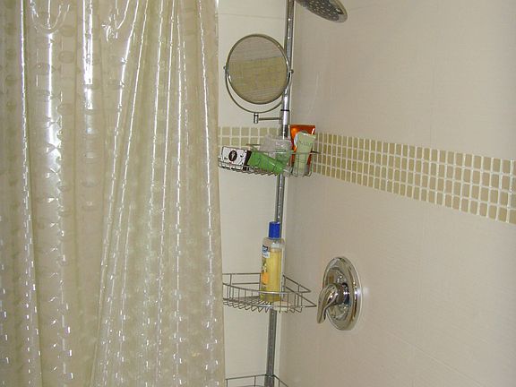 Guest shower bathroom