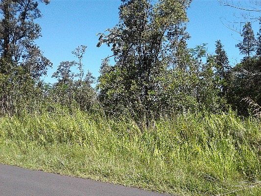 3rd image of Orchid Land Dr Lot 45