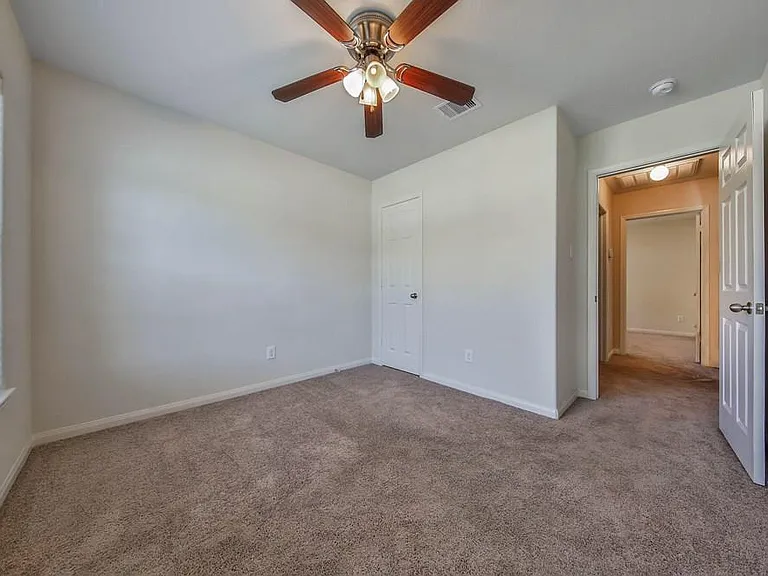 315 Pine Mist Ln — Photo 20