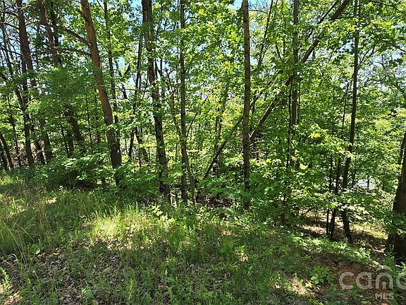3rd image of LOT 7 Pinnacle Pkwy