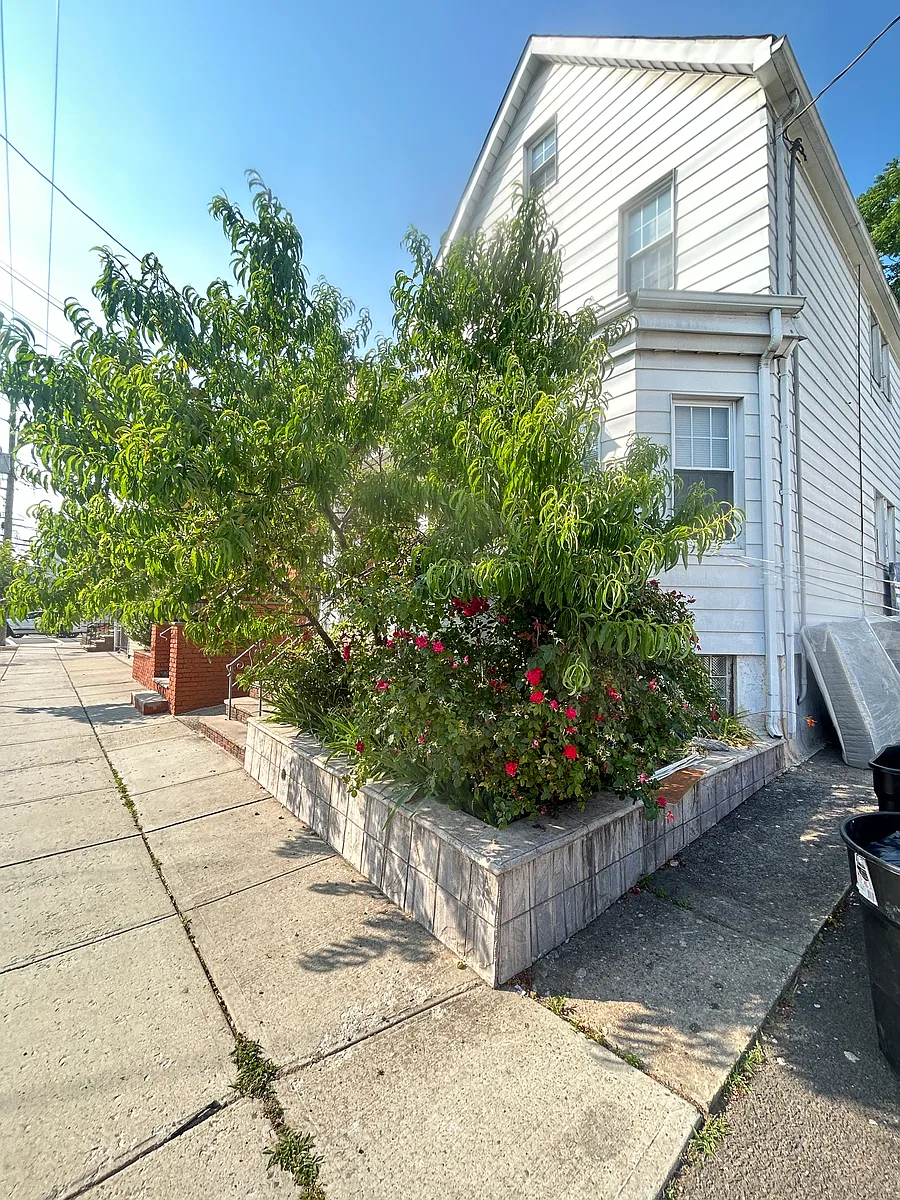 Front View - 26 Honiss St #1