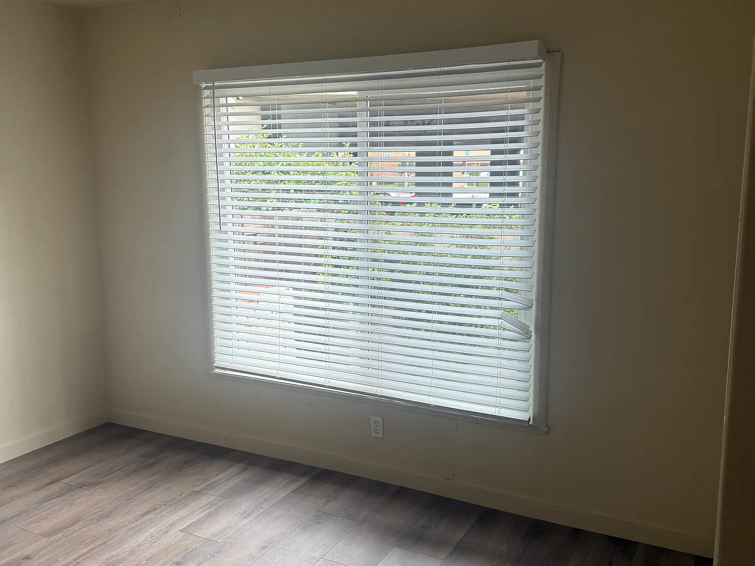 1 bed, 800 sqft, $1,950 — Photo 3