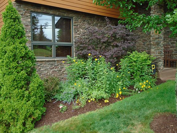 flowering shrubs