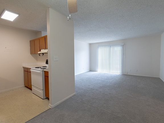 Kitchen/Living Area