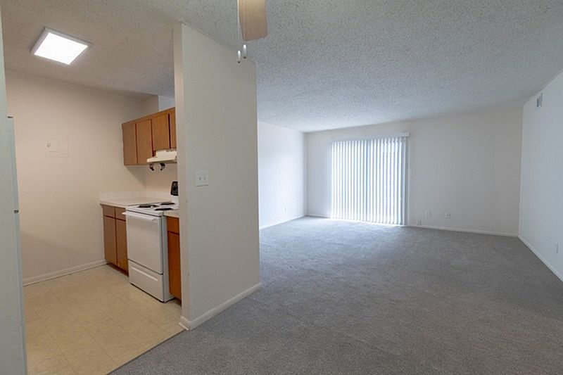 Kitchen/Living Area