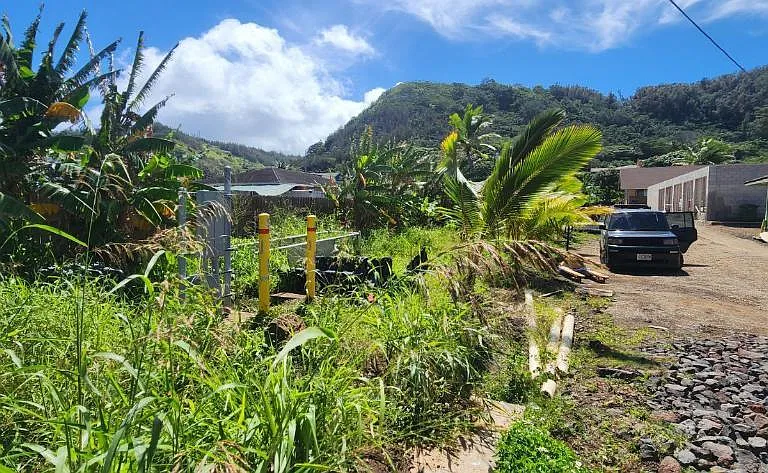 Kamehameha Hwy — Photo 7