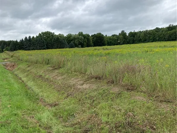 9027 Schuster Rd Lot 28, Dansville, NY 14437