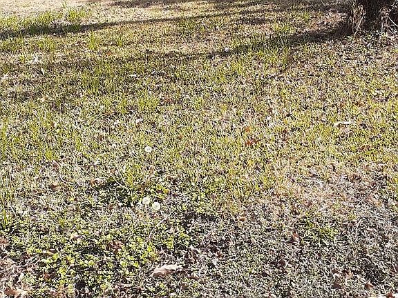 5th image of 7031 Foster St