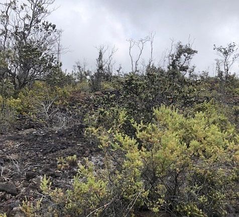 2nd image of 92-2531 Mahimahi Dr Lot 34